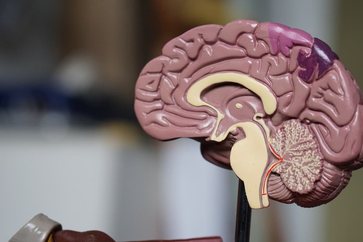 Facial Trauma: When to See a Maxillofacial Surgeon